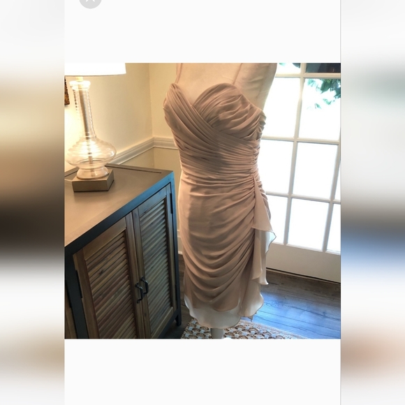 (JUST LISTED) NWT! GORGEOUS WATTERS FRENCH VANILLA CRINKLE CHIFFON DRESS - Picture 9 of 11